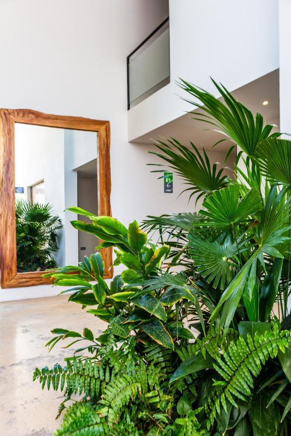 Big Studio At Kaab By The Beach With Roof Top Pool, Sauna And Jacuzzi Near Paseo Del Carmen Mall Playa del Carmen Extérieur photo